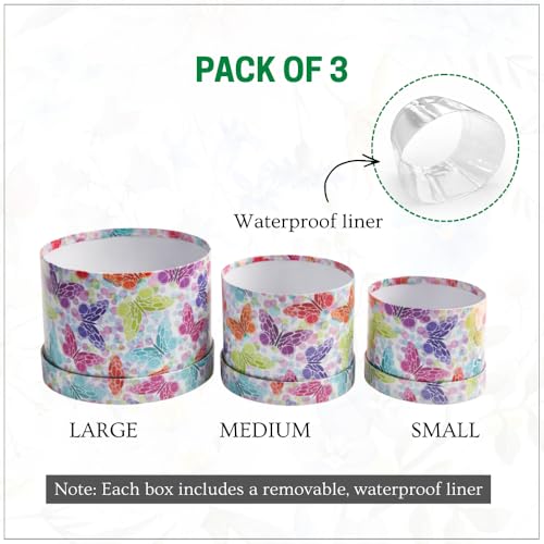 Image of Oasis Pack of 3 Premium Gift & Flower Hamper Boxes With Lid | Classic Bouquet Box for Flower Arrangements & Gift Hampers | Decorative Gift Packaging Box With Waterproof Liner - Multicolor Butterfly