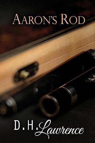 Aaron's rod 1514226391 Book Cover