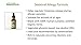 Animal Essentials Seasonal Allergy Treatment for Dogs - Liquid Herbal Support for Dogs & Cats, Wellness Supplement for Sensitive Skin & Seasonal Comfort, Licorice Tincture, 100% Organic - 2 fl oz