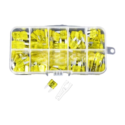 Fusible de voiture mini 20A en voyage boîte de 100pcs Small pour dépannage sur la route