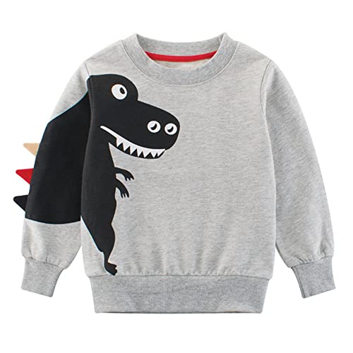 Garçons Bébé Enfants Motif Dinosaure Sweat à Manches Longues Coton Sweat-Shirt 2-8 Ans (5 Ans, Gris) Cover