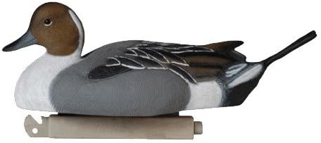 Pintail 12D 12Pk