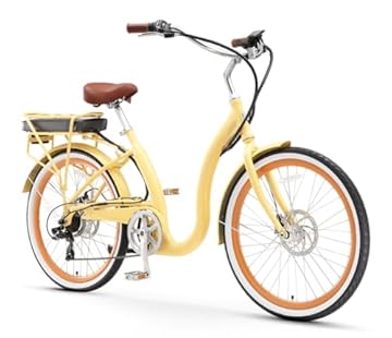 electric assist beach cruiser