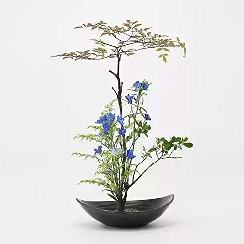 Wandic Flower Frog Kit, Crescent Shaped Ikebana Flower Vase With 5Cm Ikebana Kenzan Flower Frog And Wood Base For Flower Arranging Art, Black Spotted #TOP5