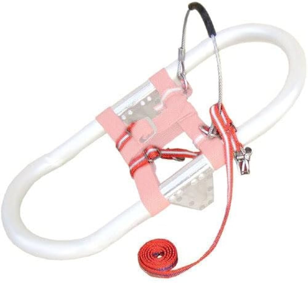 Amazon.co.jp: エキスパートオブジャパン SN9 スノーシューズ卍