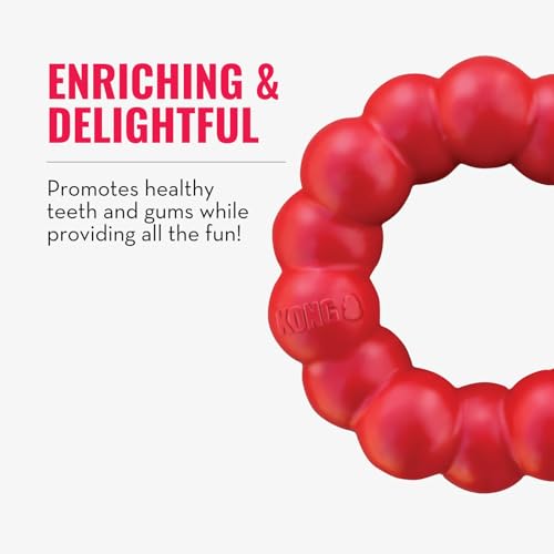 Image of KONG Ring - Natural Rubber Ring Toy for Healthy Chewing Habits - Chew Toy Supports Dog Dental Health - Dog Toy Supports Instincts During Playtime - for Small /Medium Dogs (Pack of 2)