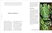 Not Another Jungle: Comprehensive Care for Extraordinary Houseplants