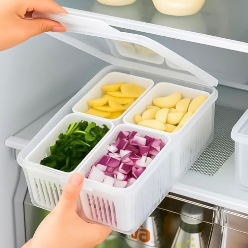 Image of TASMAX Fridge Storage Boxes, Plastic Fridge Containers, Fridge Accessories Items, (FRIDGE CONTAINER 4 GRID WITH LOCK)
