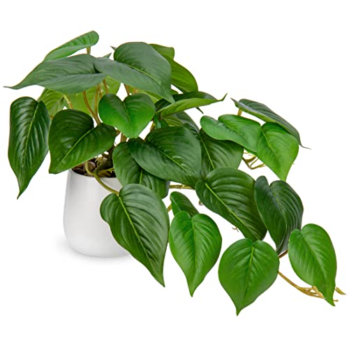 Hollyone Artificial Plants in Ceramic Pots, Fake Jade Pothos Deco...