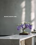Nifeliz Wisteria Bonsai Tree Building Set for Adults, Botanical Plant Building Set, Flower Bonsai Model for Home Desk Decor, Gift for Plant Lovers (737 PCS, NF10372)