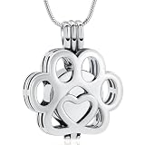 VCCWYQK Joyería de cremación para cenizas para perro o gato de acero inoxidable con medallón conmemorativo collar interior de mini estuche joyería de cremación para mascotas (Acero)