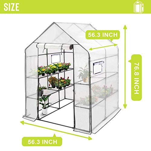 Deluxe Green House 56" W X 56" D X 77" H,Walk In Outdoor Plant Gardening Greenhouse 2 Tiers 8 Shelves - Window And Anchors Include(White) #TOP5
