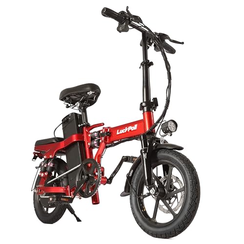 Foldable Electric Bike for Adults (2000W/1000W)