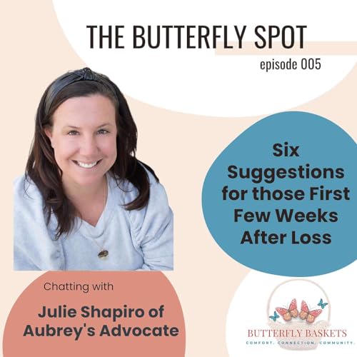 Six Ideas for Getting through the First Six Weeks after Loss, with Julie Shapiro of Aubrey's Advocate