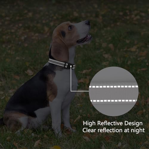 Image of Reflective Dog Collar, Adjustable Nylon for Puppy, Silver XS