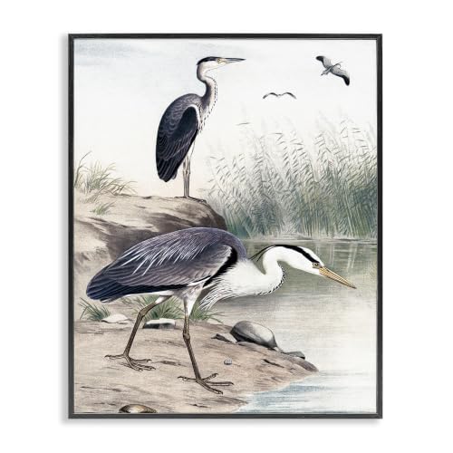 Heron Lake Shore Pampas Grass, 16 x 20 Inch Framed Giclée Print