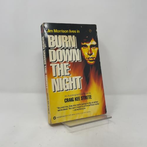 Burn Down the Night 0446370711 Book Cover