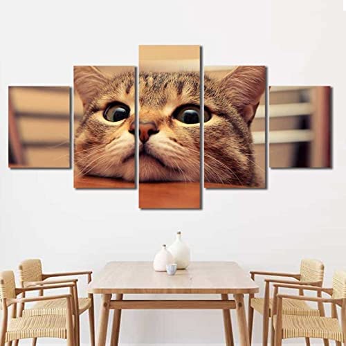 RMVNIE Stampe e Quadri su Tela 200x100cm 5 Pezzi gatto animale Pittura Poster Picture Modulari Wall Art Modern Stampa su Tela di canapa per l'ufficio domestico Decorazione Arte Quadri