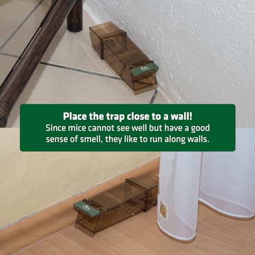 GARDIGO® Mouse Trap Humane - Set of 3 | Animal-friendly Humane Mouse Trap | Easy to Use and Clean | Reusable Mouse Trap | Mouse Repellent Mousetrap | Mouse Repeller | Outdoor and Indoor GARDIGO® Mouse Trap Humane - Set of 3 | Animal-friendly Humane Mouse Trap | Easy to Use and Clean | Reusable Mouse Trap | Mouse Repellent Mousetrap | Mouse Repeller | Outdoor and Indoor