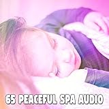 plantronics audio 655 usb driver  65 Peaceful Spa Audio