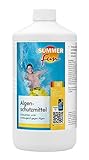 Summer Fun