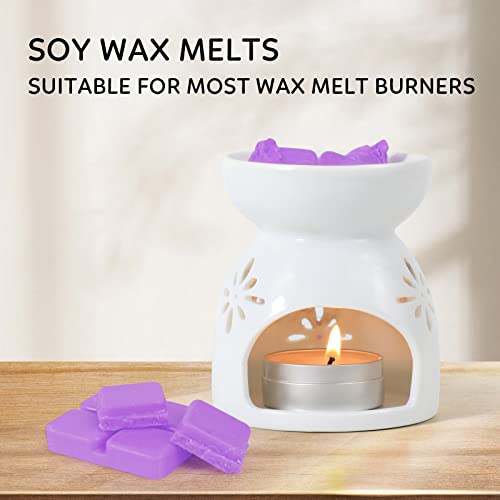 Image of SCENTORINI Wax Melts, Scented Melts Cubes for Wax Warmers, 4 x 2.5 oz | Summer Flower Scent Wax Melts - Rose, Lavender, Jasmine, Cherry, Home Fragrance Decor