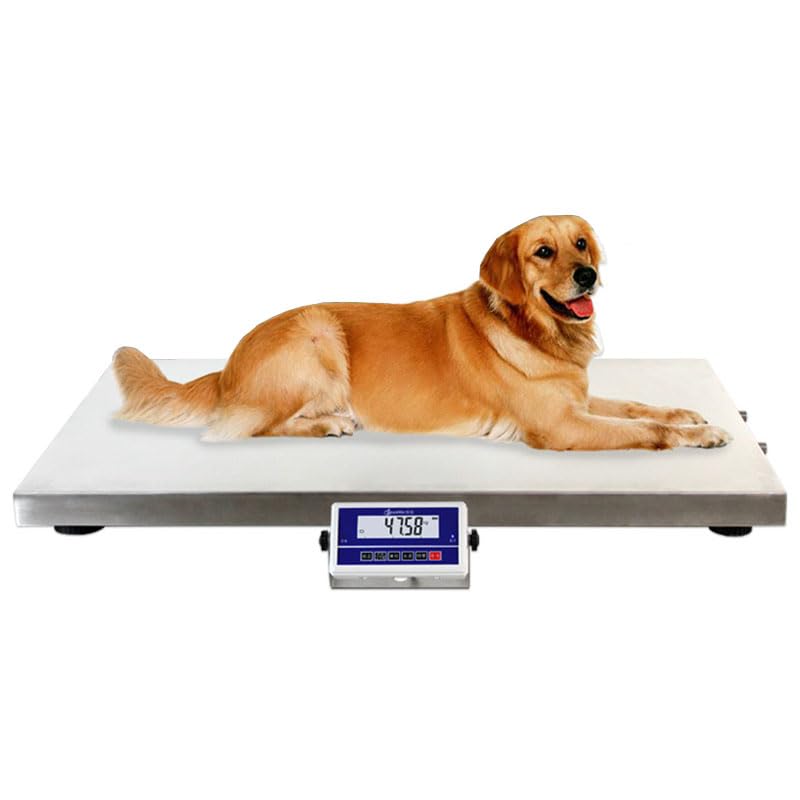 Báscula Profesional Veterinaria para Animales 100 KG miniatura 1