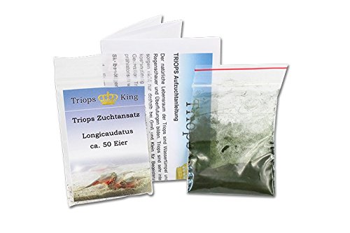 Set per allevamento di Triops longicaudatus, con mangime