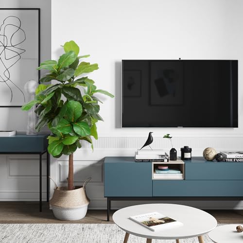 Comparativas de Árbol ficus - solo los mejores. 23 Comparativas de Árbol ficus - solo los mejores. 23