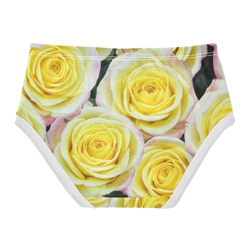 Pale Yellow Roses Pink Edges Girls Underwear Toddler 2t Cotton Little Girl Panties Personalized Briefs Kids Undies2