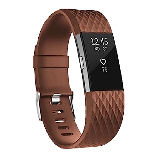 [Plus Nao] vXiI Fitbit Charge2 oh xg rvpxg tBbgrbg `[W2 \tg _C n X|[c  L uE