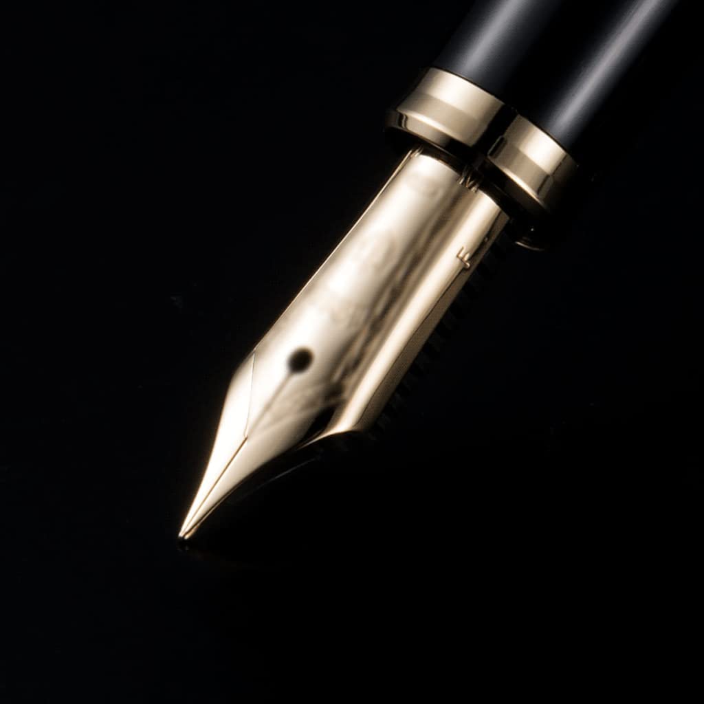 Pluma Fuente Pluma estilográfica Recargable Punta Extra Fina 0,38-0,4mm Pluma Negra para práctica de caligrafía Pluma de caligrafía para una Escritura Suave más Claro