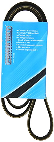 Courroie à nervures MAPCO 251460 pour Renault 19 et 21