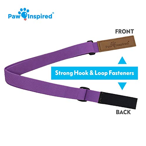 Image of PAW Inspired Dog Diaper Suspenders, Purple, Small /Medium