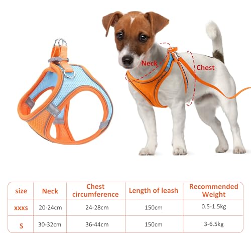 Verstellbares Katzengeschirr, Air-Mesh Atmungsaktiv Brustgeschirr mit1,5m Leine, Weich Gepolstert Hunde Geschirr, Katzenleine Kitten mit Reflektierenden Streifen, Katzen Weste (Rosa, 3XS)