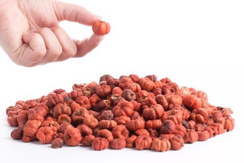 Factory Direct Craft Natural Dried Putka Pod Mini Pumpkins Fall Decorative Bowl Filler - Tiny Pumpkin Putka Pods (Bag of 4 Cups)