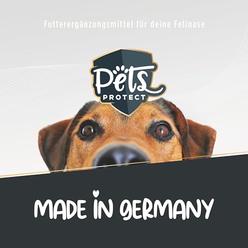 Pets Protect Veggie KAUKNOCHEN für Hunde 5 Stück | Deutsche Herstellung | 100% natürliche Zahnpflege & Zahnreinigung für den Hund | Leicht verdaulich | Hunde- Knochen glutenfrei & vegan