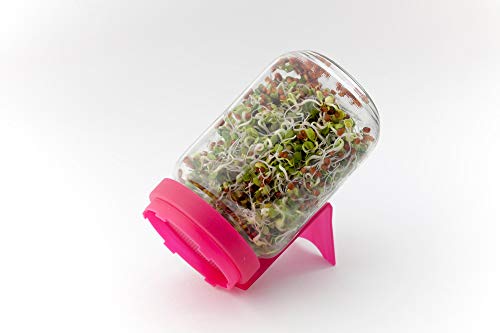 Sprosse vetro von duerr semi di