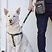 Leash Boss Short Dog Leash with Padded Handle - 12, 18, and 24 Inch Leads for Large Dogs - 1 Inch Nylon (12 in, Black/Red/Gray)