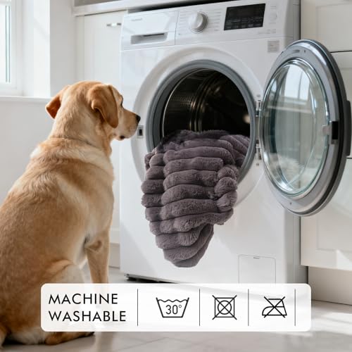 Wdmiya wasserdichte Hundedecke, 65x88cm Hundedecke für Mittelgroße & Kleiner Hunde, Haustier Decke Flauschig und Weich, Schutzdecke Hundesofa, Maschinenwaschbar Katzendecke für Unterwegs,Grau