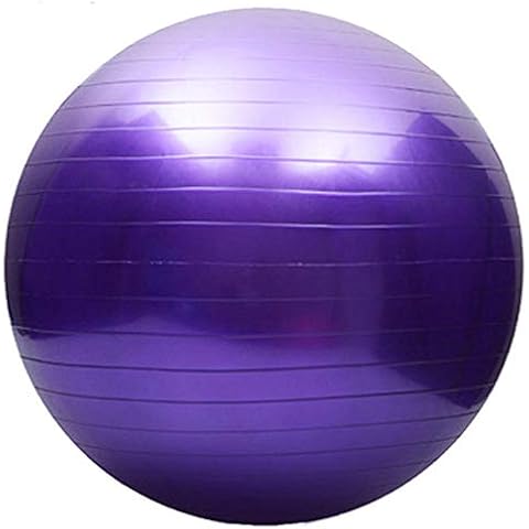 Fortitude Sports Exercise Ball With Pump | Yoga Swiss Ball For Fitness, Pilates, Home and Gym | Anti Burst, Anti Slip Balance Ball in 55 and 65cm Sizes (55cm, Purple) Cover