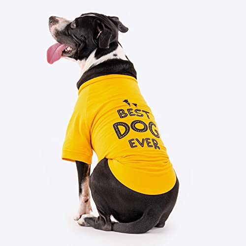 Image of Heads Up For Tails Polyester Huft Best Dog Ever Pet Sweatshirt - Yellow,1 Count