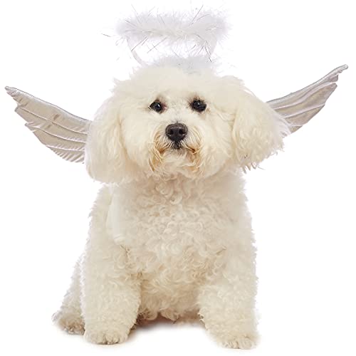 Disfraz de alas de ángel para perro pequeño Halloween miniatura 3