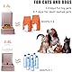 Automatischer Katzenfutterspender mit Wasserspender für Katzen 2er Pack Hundefutter und Wasserspender im Set 1 Gallone x 2 für kleine, mittelgroße Hunde, Welpen und Kätzchen (Pink)