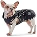 HUNTER Hundemantel UPPSALA SOFTSHELL, Farbe: schwarz, sportliches Design, wasser- und winddicht, mit weichem Fleece-Innenfutter, individuell einstellbar, reflektierend, waschbar, Größe: 55