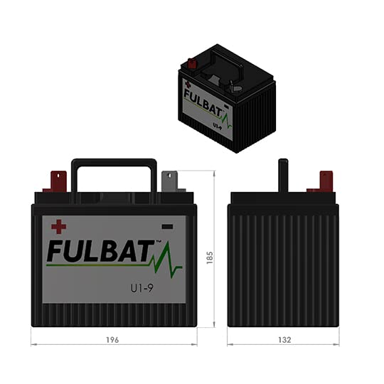 Batería U1 – 9 Fulbat 12 V28ah LG 195 L130 H180 300 A – SLA sin cuidado fácil – Motoculture