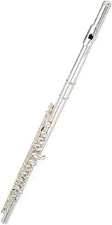 Flute Musical Instrument With Closed Hole 16 Holes In C Key For Adult Students flute instrument
