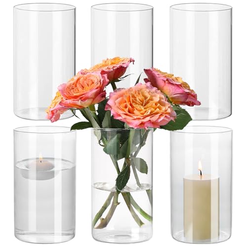 SUPMIND 6 Pack Glass Cylinder Vase for Table Centerpieces, 6