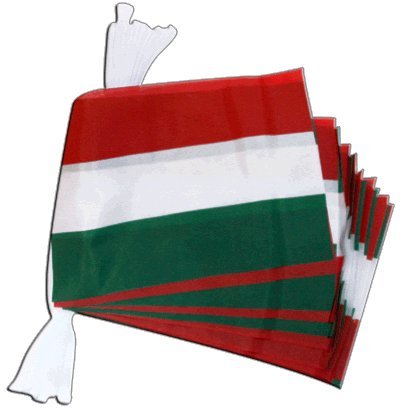 Guirlande drapeau Hongrie de 5,9 m Digni pour embellir vos fetes et soirees a theme