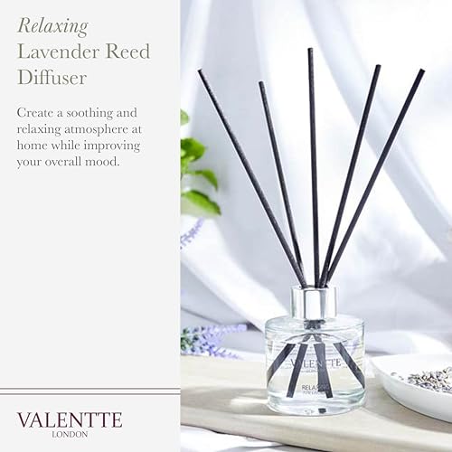 Valentte Reed Diffuser - Pure Lavender Scent | Essential Oil Aroma for Home | 100 ml